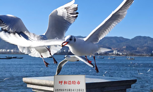 呼和浩特拉弯工艺原理与技术特点